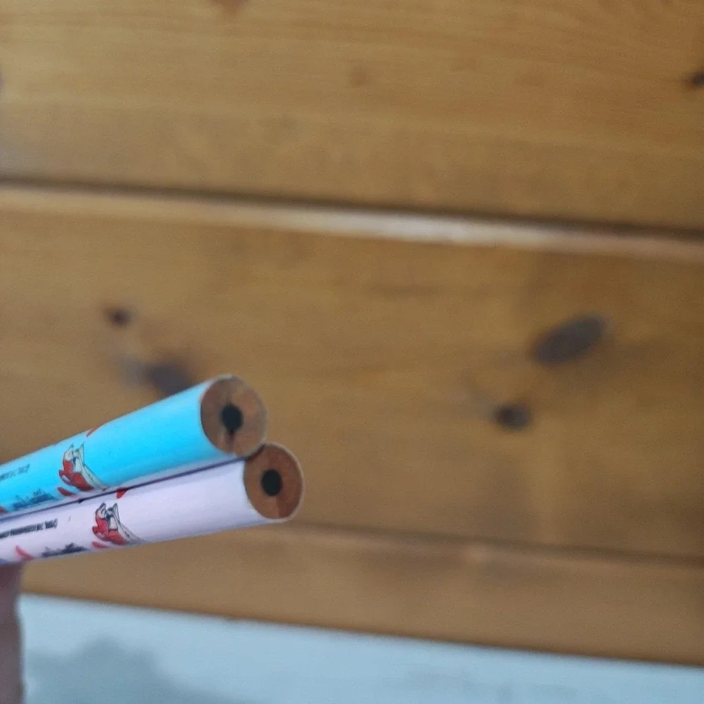Vintage 1981 Raggedy Ann & Andy Blue and Pink Pencil Set